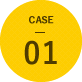 CASE01